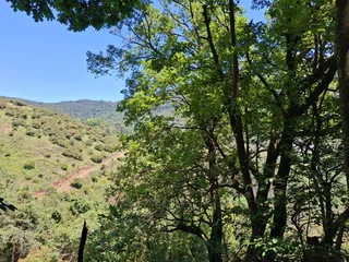 Elevate Your Lifestyle - Breathtaking Mountain Retreat in Magoebaskloof