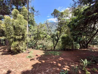 Elevate Your Lifestyle - Breathtaking Mountain Retreat in Magoebaskloof
