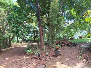 Elevate Your Lifestyle - Breathtaking Mountain Retreat in Magoebaskloof