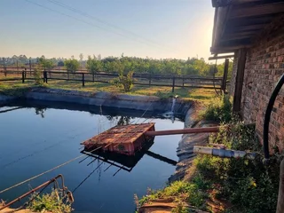 Avocado Farm For Sale in Soekmekaar, Limpopo
