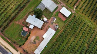 Avocado Farm For Sale in Soekmekaar, Limpopo