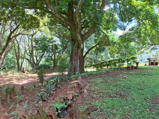 Elevate Your Lifestyle - Breathtaking Mountain Retreat in Magoebaskloof