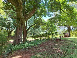 Elevate Your Lifestyle - Breathtaking Mountain Retreat in Magoebaskloof