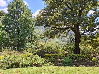 Elevate Your Lifestyle - Breathtaking Mountain Retreat in Magoebaskloof