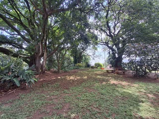 Stunning Lifestyle Small Holding For Sale in Tzaneen Rural, Tzaneen