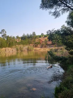 Avocado Farm For Sale in Soekmekaar, Limpopo