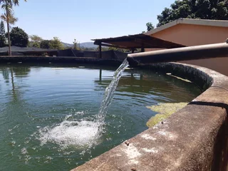 High Rental Income Holding For Sale in Lushof AH, Tzaneen Rural, Tzaneen