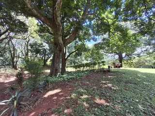 Elevate Your Lifestyle - Breathtaking Mountain Retreat in Magoebaskloof