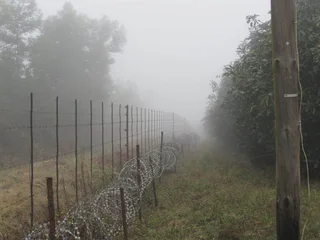 Avocado Farm For Sale in Soekmekaar, Limpopo