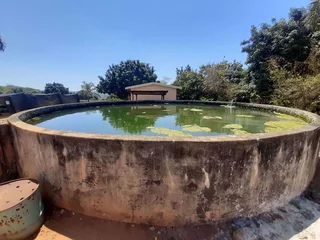 High Rental Income Holding For Sale in Lushof AH, Tzaneen Rural, Tzaneen