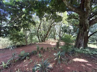 Elevate Your Lifestyle - Breathtaking Mountain Retreat in Magoebaskloof