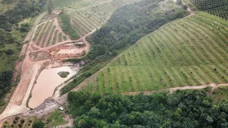 Avocado Farm For Sale in Soekmekaar, Limpopo