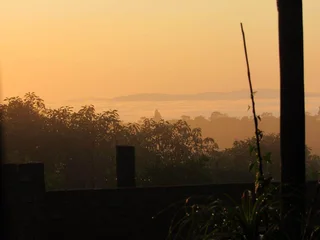Avocado Farm For Sale in Soekmekaar, Limpopo