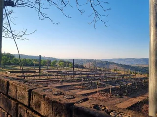 Avocado Farm For Sale in Soekmekaar, Limpopo