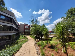 1180 sqm Office to Let in Bedfordview