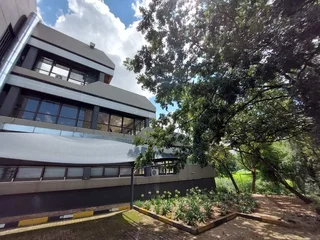 1180 sqm Office to Let in Bedfordview