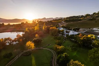 Exclusive Stands on an Iconic Wine Farm