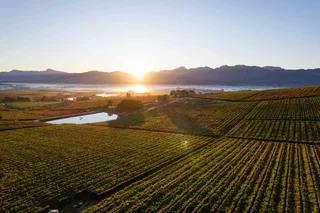 Exclusive Stands on an Iconic Wine Farm