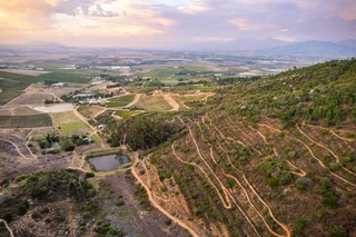 Exclusive Stands on an Iconic Wine Farm