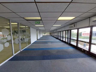 561 sqm Office to Let in Bedfordview