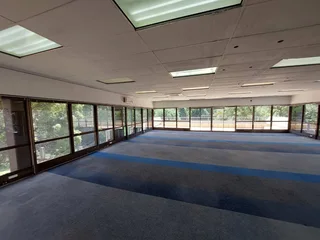 561 sqm Office to Let in Bedfordview