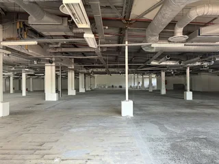 Prime 4 006 m² Office Building for Lease – Black River Park.