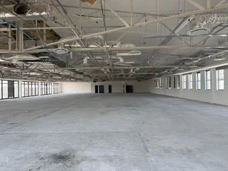 Prime 4 006 m² Office Building for Lease – Black River Park.