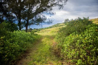 A Coastal Canvas in Zululami Luxury Coastal Estate