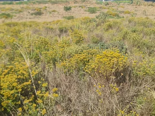 A Coastal Canvas in Zululami Luxury Coastal Estate