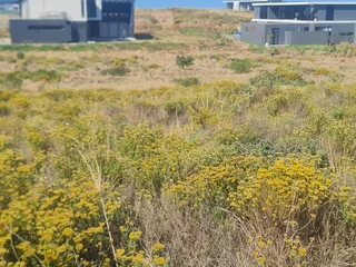 A Coastal Canvas in Zululami Luxury Coastal Estate