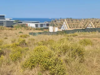 A Coastal Canvas in Zululami Luxury Coastal Estate