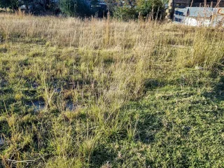 Unlock Potential: Prime Erf in Paul Roux Village Awaits!