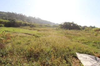 PRIME LAND FOR SALE IN LA MERCY