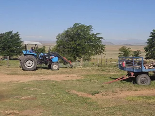 Well-Watered Mixed-Farming Opportunity in the Ladybrand District