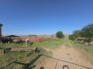 Well-Watered Mixed-Farming Opportunity in the Ladybrand District