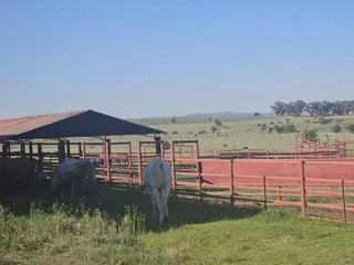 Well-Watered Mixed-Farming Opportunity in the Ladybrand District