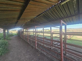 Well-Watered Mixed-Farming Opportunity in the Ladybrand District