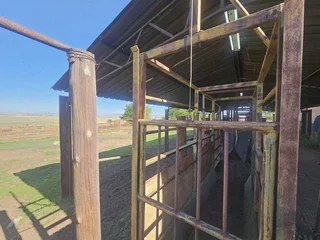 Well-Watered Mixed-Farming Opportunity in the Ladybrand District