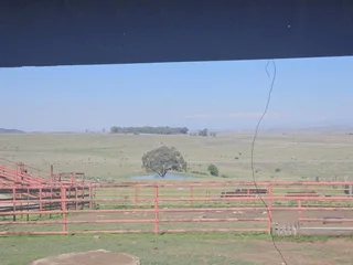 Well-Watered Mixed-Farming Opportunity in the Ladybrand District