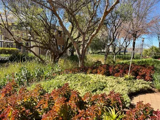 Block E, Central Park | Prime office space to Let in Midrand