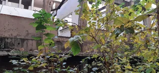 8,167 SQM BUILDING FOR SALE IN THE HEART OF PRETORIA CBD