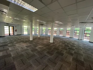 Sunnyside business park | Pristine Office To Let at 32 Princess of Wales, Parktown