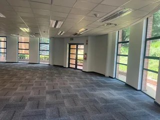 Sunnyside business park | Pristine Office To Let at 32 Princess of Wales, Parktown