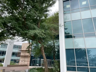 Waterfall Circle | Premium Office Space to Lease in Midrand | Waterfall City