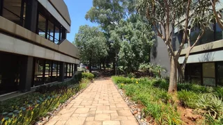 Pellmeadow Office Park | Prime Office Space to Let in Bedfordview