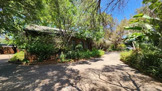 Zwartkop | Baobab Crescent | Centurion