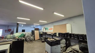 ZWARTKOP | LARCH NOOK | CENTURION