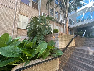 Medical Suite to Let in Mayo Medical Centre, Constantia Kloof, Roodepoort