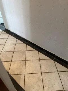 Prime Office Space to Let in Eastwood Office Park, Bedfordview