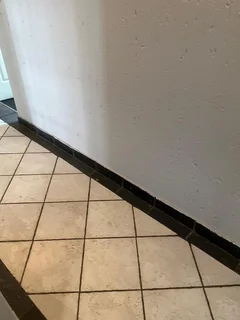 Prime Office Space to Let in Eastwood Office Park, Bedfordview